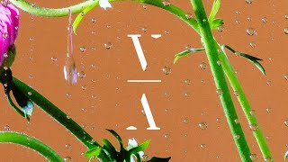 Myrne - Close The Distance video