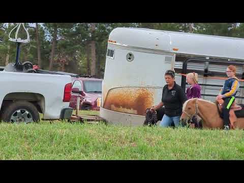 Kids on pony rides at Black Forest Festival