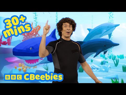 跟著 Andy Day 一起探索海底世界等等！兒童律動 | CBeebies 🐬🌊 (Explore Underwater and more with Andy Day! | Movement for Kids | CBeebies 🐬🌊)
