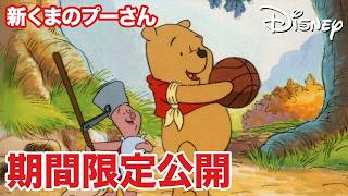 【期間限定無料公開】新くまのプーさん | ボールで遊ぼう/ティガーの新しいおともだち