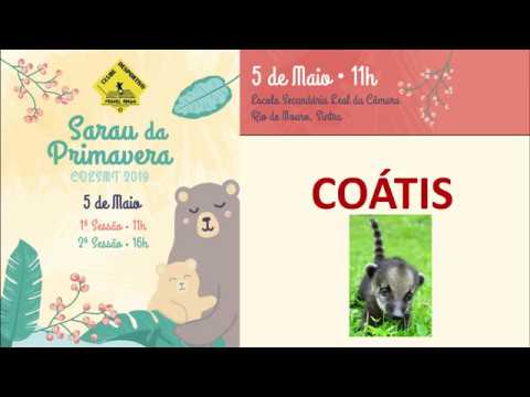 CDESMT - Sarau da Primavera '19 - COÁTIS