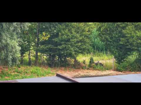 iKrotoszyn TV - Strzelanie na osiedlu