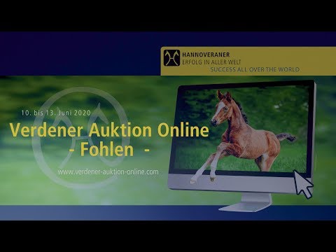 Verdener Auktion Online - Fohlen für springbetont gezogene Fohlen vom 10. bis 13. Juni 2020