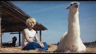 CRISPIES – ‘Good Times Only’