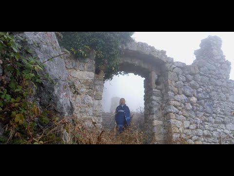 Upoznajte najmoćnije - Daliborka Kranjčić