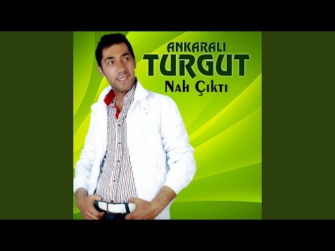 Ankaralı Turgut - Nah Çıktı cover