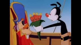 Animaniacs-I am the very model of a cartoon individual (italian)