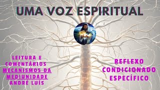 Estudo - Mecanismos da Mediunidade - REFLEXO CONDICIONADO ESPECÍFICO