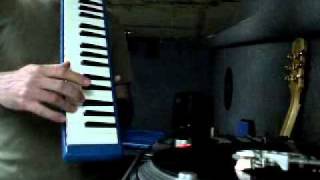 Augustus Pablo -  555 Crown Street (melodica cover)