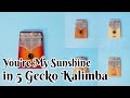 [Sound Comparison] You're My Sunshine on 5 Type of Gecko Kalimba