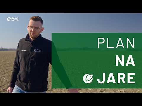 Film na temat: { video.title }}