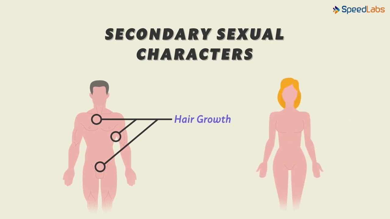 Class-8-Science-Ch-18-Reaching the Age of Adolescence-Topic- Secondary Sexual Characters