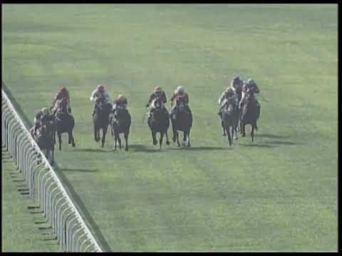 2019-02-16 Race 3(0153) - THE HAPPINESS