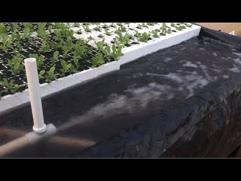 Stop using airstones for hydroponics! Build this simple $5 venturi in 2 minutes instead!