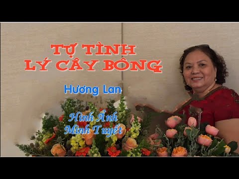 Tự tình lý cây bông - Hương Lan