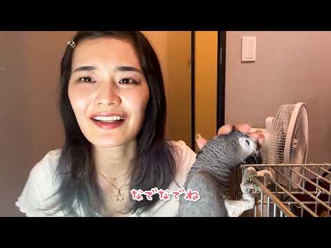 YouTube動画をあなたの代わりに作成します イメージ1