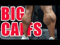 Best Workout to Build BIG CALFS!