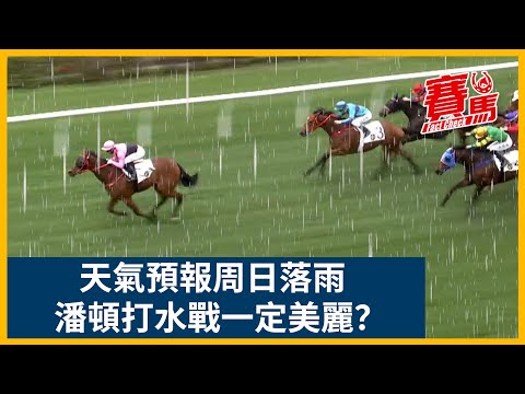 天氣預報5月15日周日落雨 HKJC沙田日賽又打水戰 潘頓一定美麗不可低估 | CC中文字幕 #賽馬FactCheck