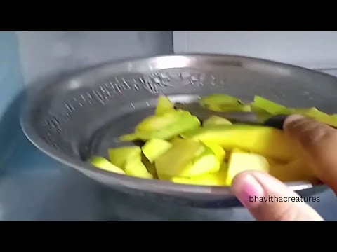 bhavitha fridge tour