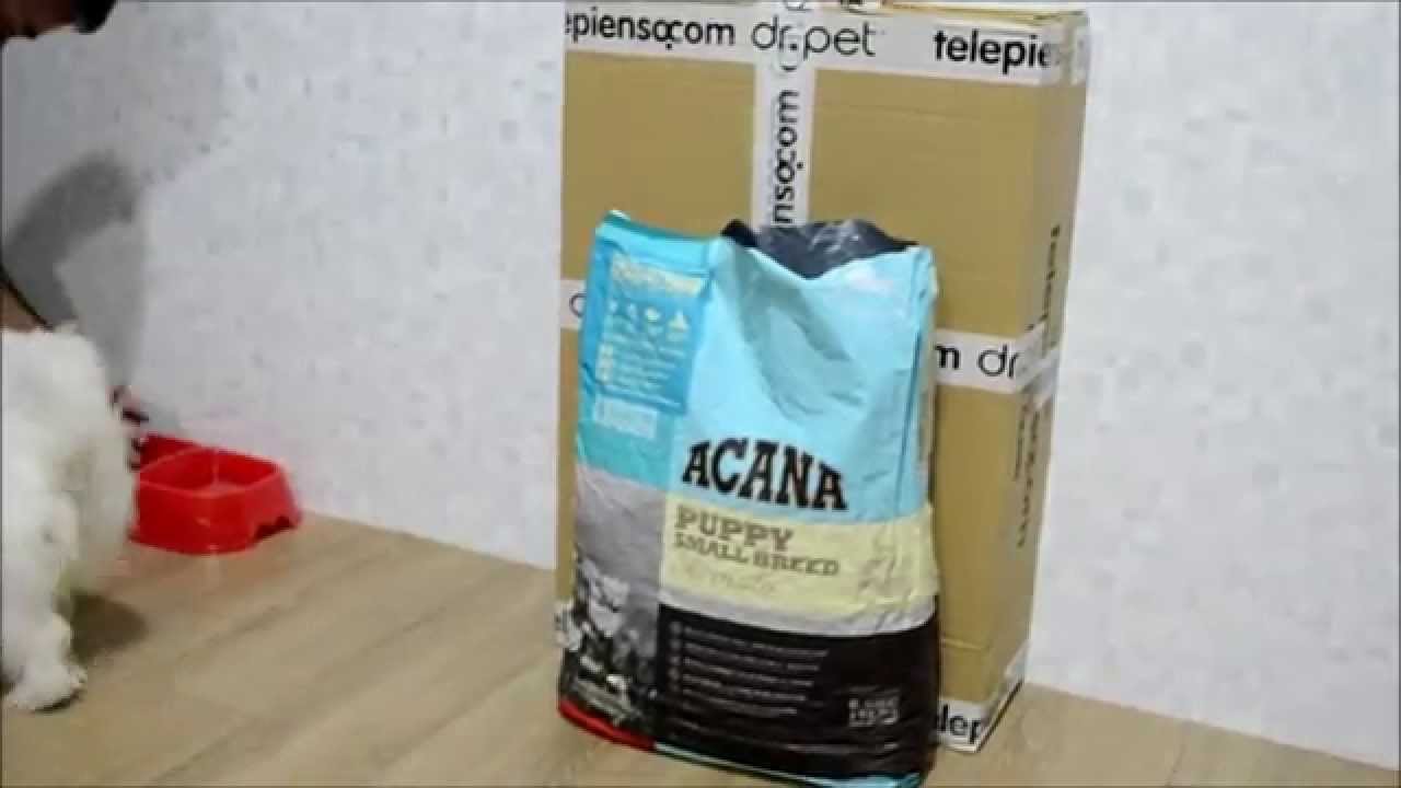 Acana Puppy Small Breed - Telepienso