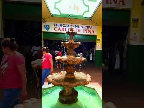 Anápolis Goiás Brasil🇧🇷#anápolisgo #gaivotv