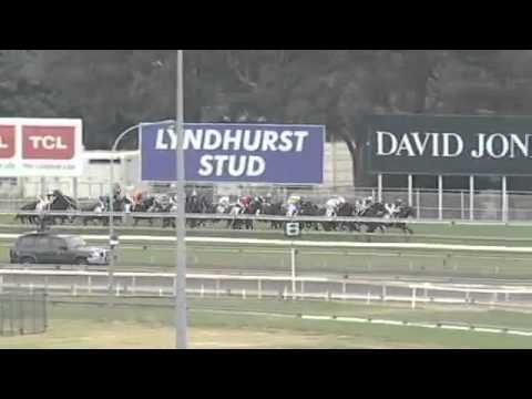 Shootoff wins the Queensland Derby 2011