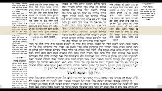 סוטה דף יד