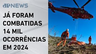 Incêndios florestais aumentam 85% no estado do Rio de Janeiro