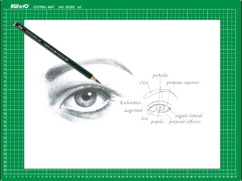 Nuevo CURSO de dibujo a lápiz Cap. 6 "El ojo de frente"