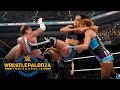 CM Punk AJ Lee Vs Seth Rollins Becky Lynch Wrestlepalooza 2025 Highlights