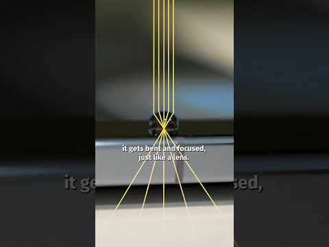 I Turned My Phone Into A Microscope