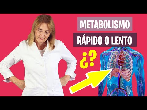 ESTAS SONlas CAUSAS de un METABOLISMO LENTO | Acelera tu metabolismo | Nutrición y Dietética