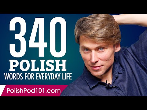 340 Polish Words for Everyday Life - Basic Vocabulary #17