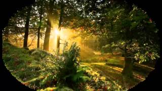 If i could fly away... ...(Frank Duval)... ...