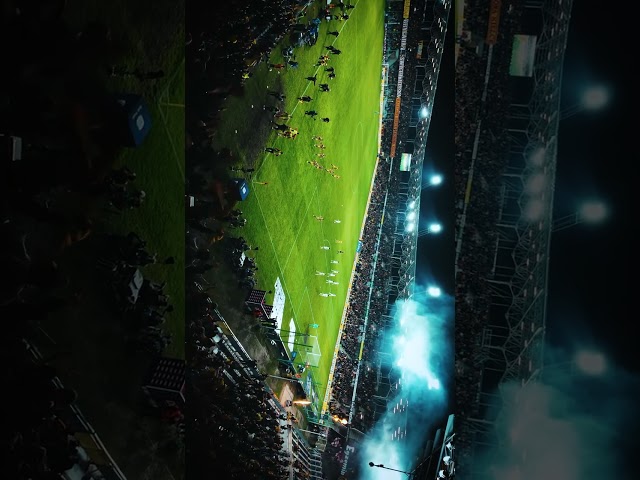 ABSOLUTE BŁANIK 🎬🔥