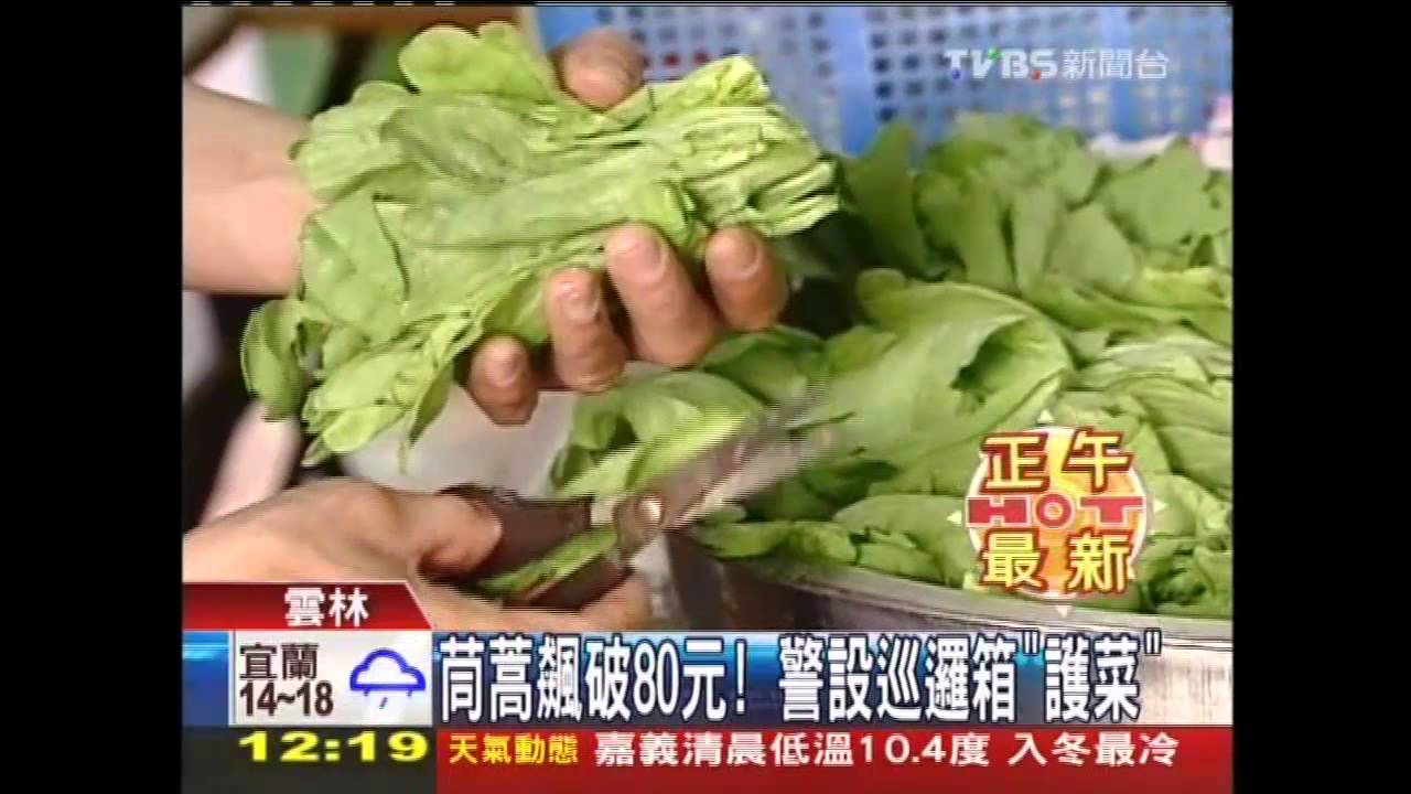 茼蒿飆破80元! 警設巡邏箱「護菜」