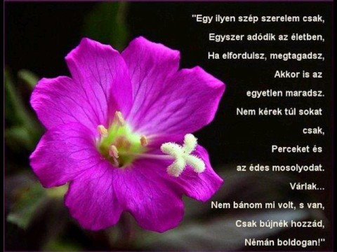 ღ♥DJ Harmath ft. Reni-Álmaimban♥ღ