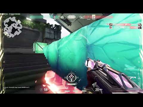 feelings (w/ .EEhOU & Zmeyev) 🌺