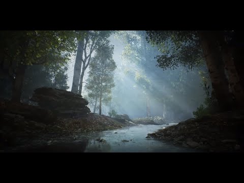 3 - Sons da natureza - Ansiedade e Inquietude Constante