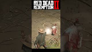 Total madness  #rdr2brutalgameplay