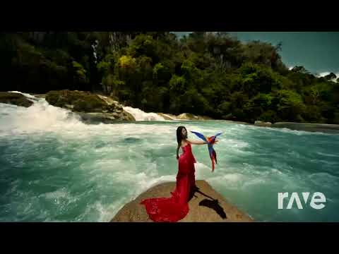 Premiere: Liebe  De Nacht - BY #Eelke Kleijn & #Schiller HD