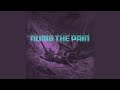 Numb The Pain