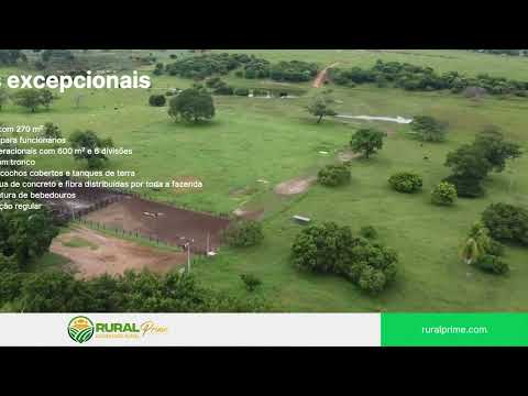 Fazenda em Riachão das Neves-BA à venda.