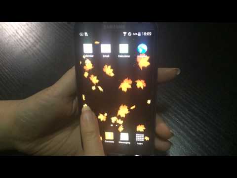 Maple Song Live Wallpaper Video