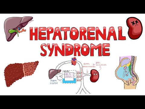 WHAT IS DIARRHEA Diarrhea Causes Organic vs Functional Diarrhea Acute vs Chronic Diarrhea