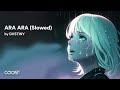 DXSTINY ARA ARA Slowed