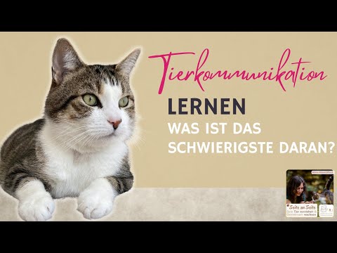 Tierkommunikation lernen: Was ist das Schwierigste daran? (Podcast #103)