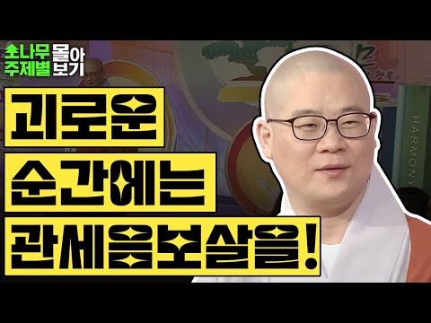 괴로운 순간에는 관세음보살을 불러라 Top3✨  [광우스님 소나무 주제별 몰아보기]