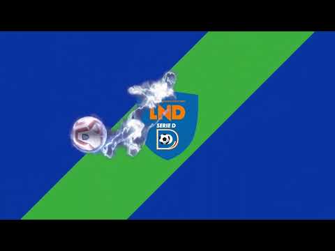 Serie D Girone C - Giornata 21 - Prodeco Calcio Montebelluna vs Este