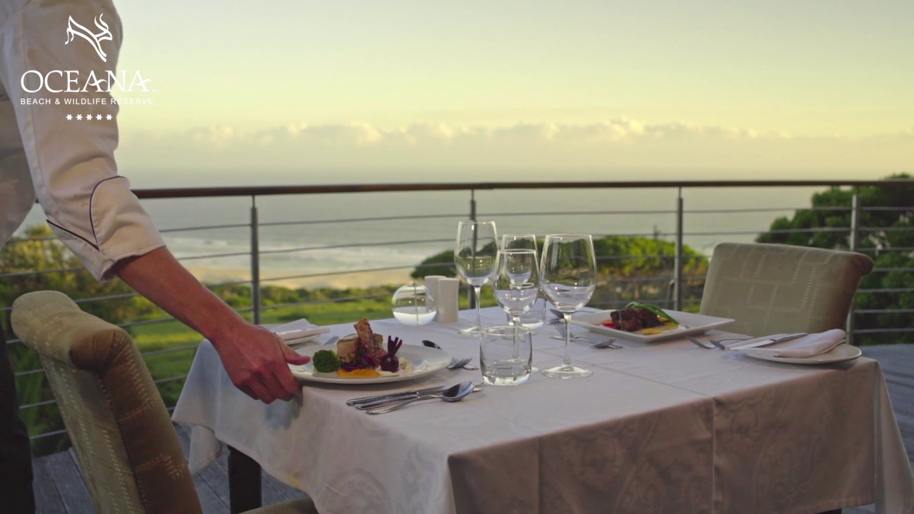 Oceana Website Showcase